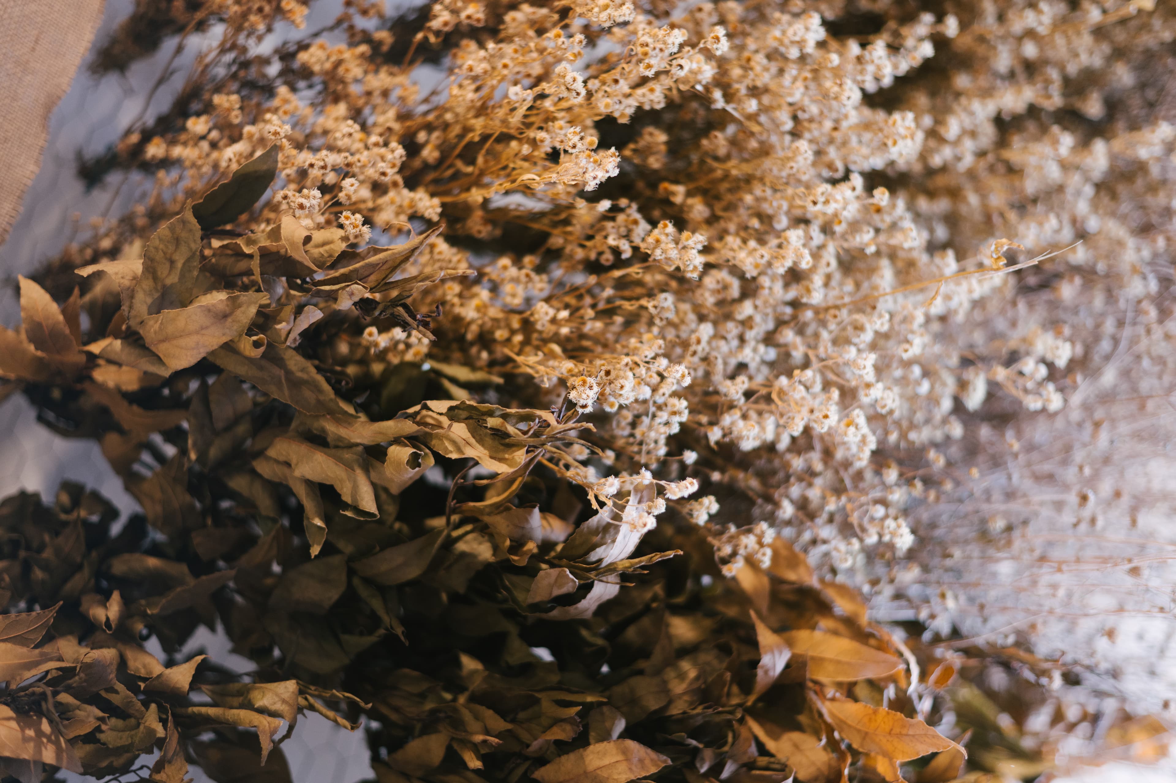 Visits and collaborations at Cain & Abel